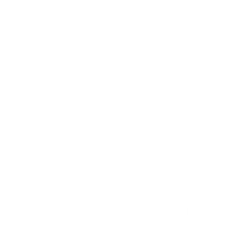 Web Hosting Features
